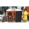 Boxe de raft Audience Thorus 541, 120W, 8 OHm