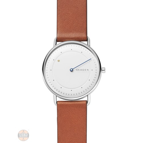 Ceas barbatesc Skagen Horizont Special Edition SKW6487, 40mm, quart